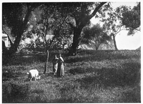 [Image unavailable.]