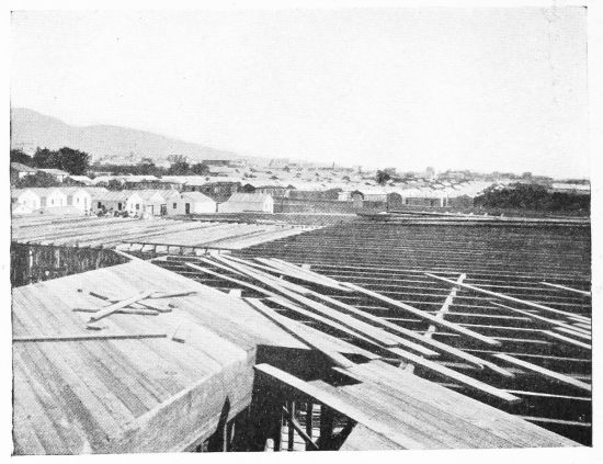 [Image unavailable.]