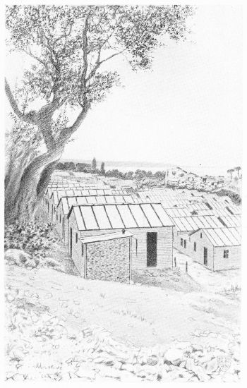 [Image unavailable.]