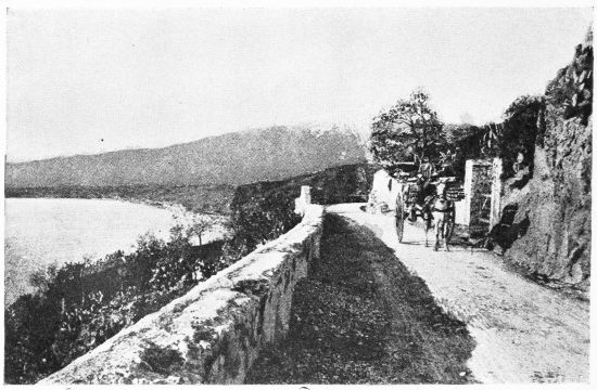 [Image unavailable.]