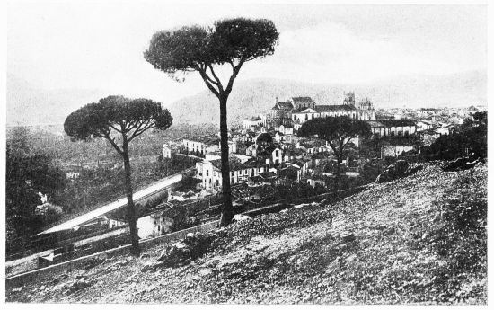 [Image unavailable.]