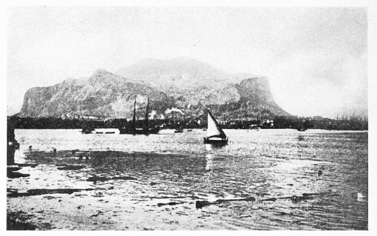 [Image unavailable.]