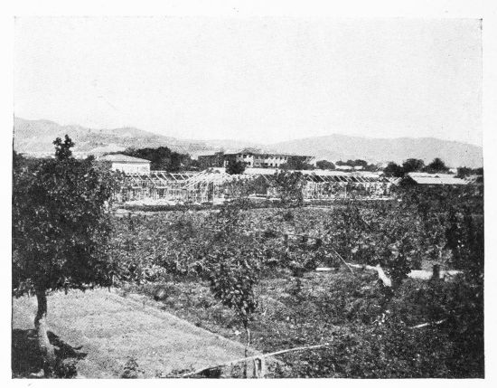 [Image unavailable.]