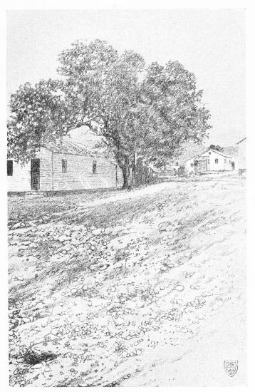 [Image unavailable.]