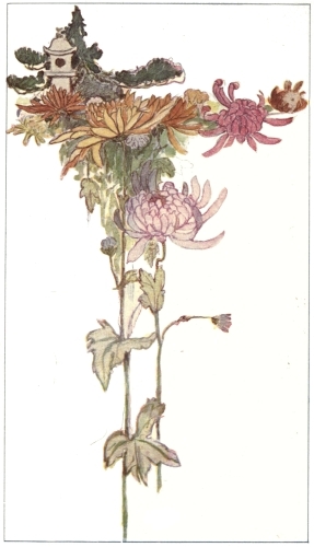 [Image unavailable.]