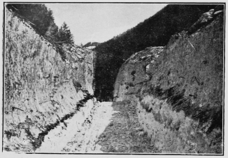 A cutting through an immense avalanche which fell some
months previously.