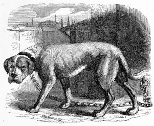 [Image not available]