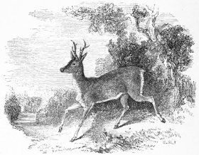 [Image not available]