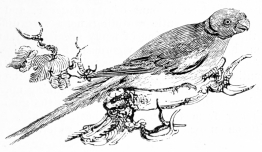 [Image not available]