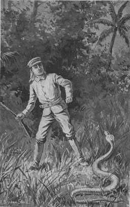 "He saw a huge cobra directly in front of
him."--Page 242.