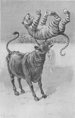 "The striped beast went
up into the air."--Page 263.