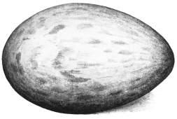 [Image not available]