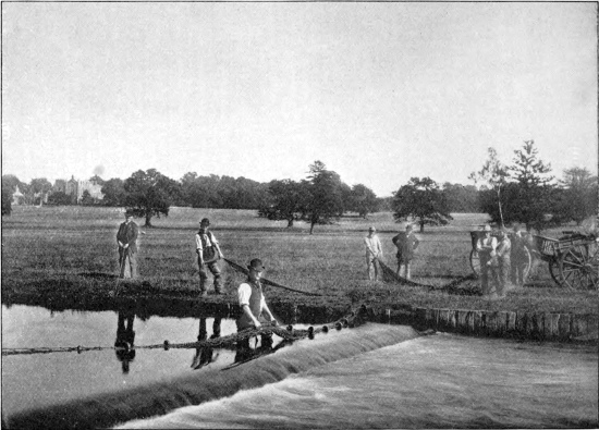 Netting the Gade, Cassiobury Park