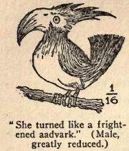 She turned like a frightened
aardvark. \(Male,
greatly reduced.\)