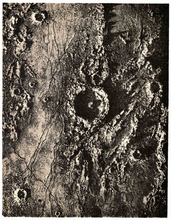 PLATE VII.
TRIESNECKER.