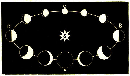 Fig. 41.—The Movement of Mercury, showing the Variations
in Phase and in apparent size.
