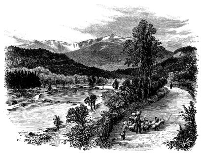 [Image unavailable.]