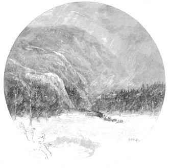 ELEPHANT’S HEAD, WINTER.