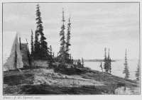 Photo: J. W. Tyrrell, 1900.
WEST SHORE, ARTILLERY LAKE
IN LAT. 62Â° 56'