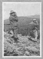 LOOKING FOR GRIZZLIES ON CUB CREEK