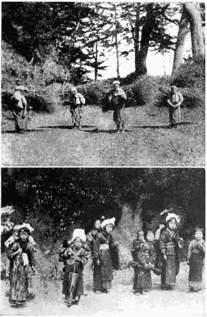 CARRYING FAGOTS
BABY-TENDERS