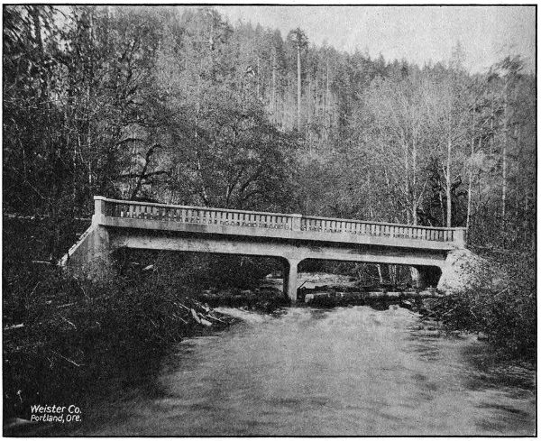 ONE OF NINE REINFORCED
CONCRETE BRIDGES IN THE BEAVER CREEK VALLEY, COLUMBIA COUNTY,
ON THE COLUMBIA RIVER HIGHWAY BETWEEN RAINIER AND CLATSKANIE. ALL BUILT IN 1917 AND 1918