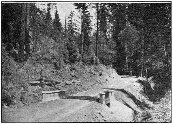 BRIDGE ON
PASS CREEK—20 FT. SPAN. ON PACIFIC HIGHWAY NEAR COMSTOCK IN DOUGLAS COUNTY