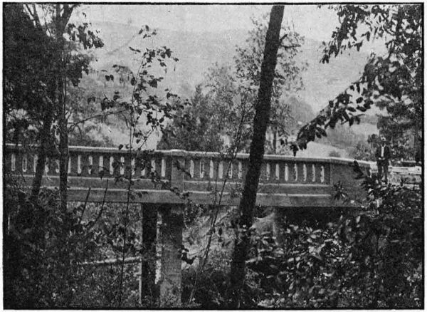 VAN TYNE CREEK VIADUCT
NORTH OF MYRTLE CREEK IN DOUGLAS COUNTY. BUILT IN 1918