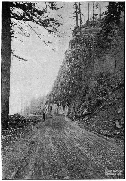 ON THE COLUMBIA
RIVER HIGHWAY IN HOOD RIVER COUNTY TWO MILES EAST OF CASCADE LOCKS. GRADED AND GRAVELED IN 1917 AND 1918