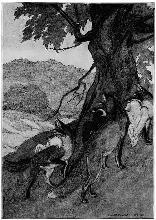 “THEY ALL THREE TURNED AND GLANCED BACK.”