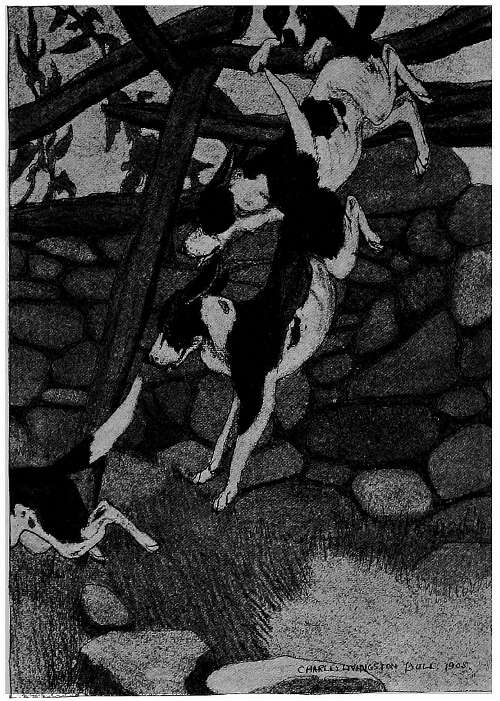 “CAME TUMBLING OVER THE WALL INTO THE LANE.”