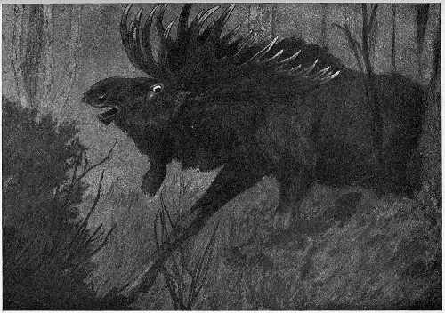 “WAS OFF THROUGH THE UNDERBRUSH IN IGNOMINIOUS FLIGHT.”