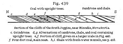 Fig. 439: Section of the cliffs of the South Joggins, near Minudie, Nova Scotia.