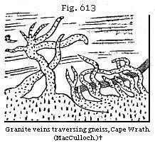 Fig. 613: Granite
veins traversing gneiss, Cape Wrath.