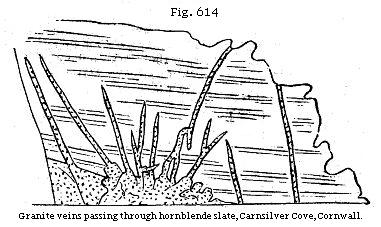 Fig. 614: Granite
veins passing through hornblende slate, Carnsilver Cove, Cornwall.