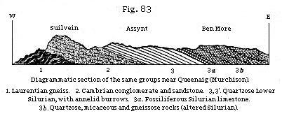 Fig. 83: Diagrammatic
section of the same groups near Queenaig (Murchison).