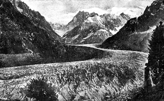 THE MER DE GLACE.

To face page 229.