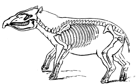 Restoration of
  Palaeotherium magnum.