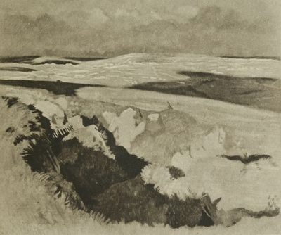 XIV. View from the Old English Trenches. Looking
towards La Boisselle.