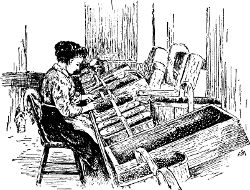 Fig. 46. Packing grapes on a packing-table.