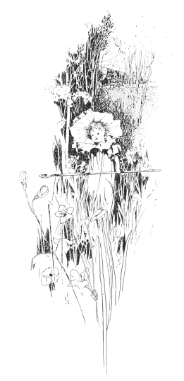 [Image unavailable.]