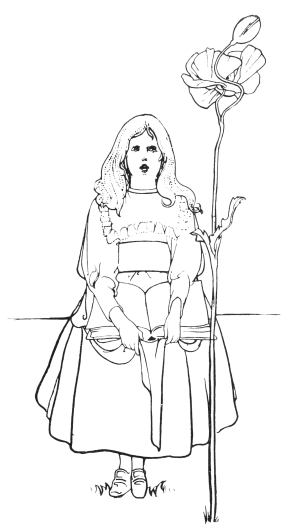 [Image unavailable.]