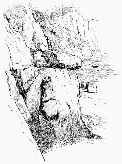 CHALK CLIFFS NEAR DOVER