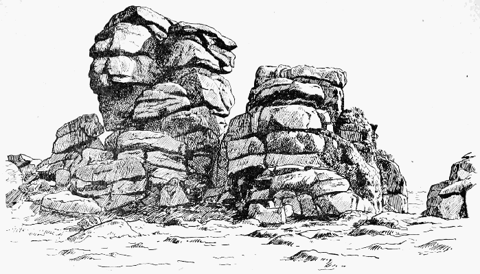 VIXEN TOR (DARTMOOR)