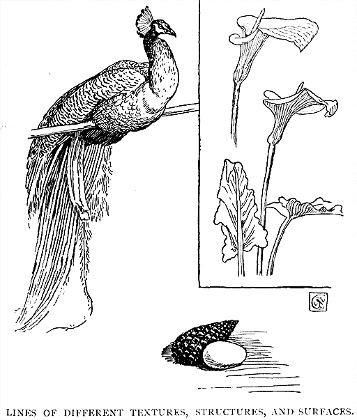 Lines of Different Textures, Structures,
and Surfaces.