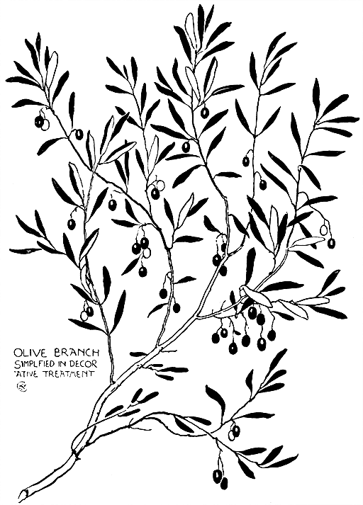 Olive Branch
Simplified In Decorative
Treatment