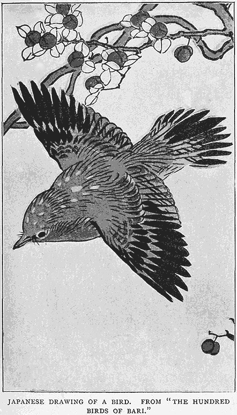 Japanese Drawing Of A Bird.
From “;The Hundred Birds Of Bari.”;