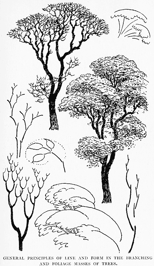 General Principles Of Line And Form
In The Branching And Foliage Masses Of Trees.