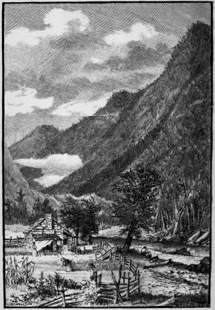 [Image not available]