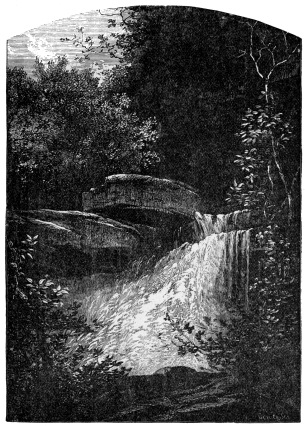 [Image not available]